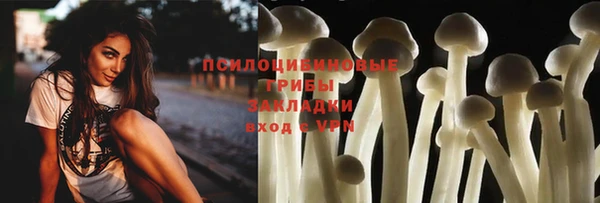 spice Балахна