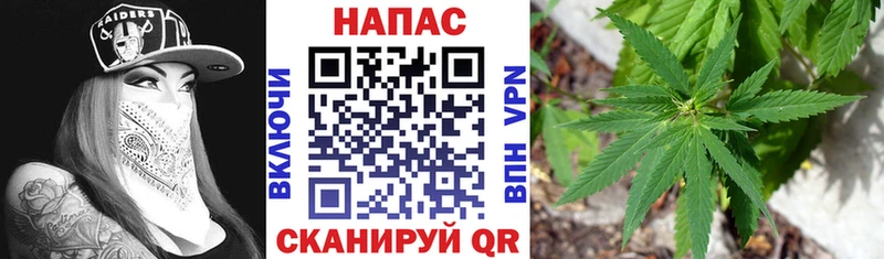 Бошки марихуана семена  гидра tor  Сим 
